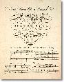 songs_bluebonnets001.gif